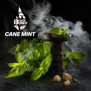 Cane Mint